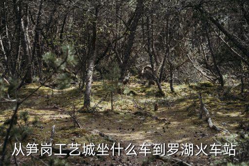 從筍崗工藝城坐什么車到羅湖火車站