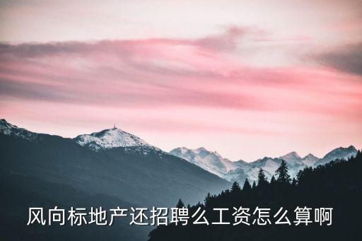 廣州風向標，風向標地產的效率怎么樣
