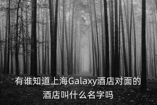 有誰(shuí)知道上海Galaxy酒店對(duì)面的酒店叫什么名字嗎