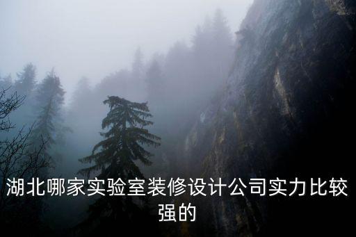 湖北哪家實驗室裝修設計公司實力比較強的