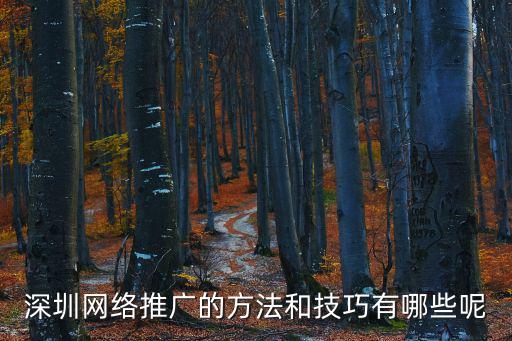 深圳網絡推廣的方法和技巧有哪些呢
