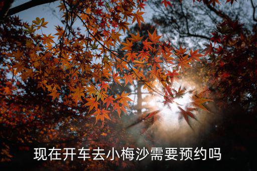 現(xiàn)在開(kāi)車(chē)去小梅沙需要預(yù)約嗎