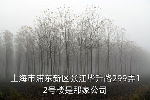 上海市浦東新區(qū)張江路605，上海市浦東新區(qū)張江畢升路299弄12號(hào)樓是那家公司
