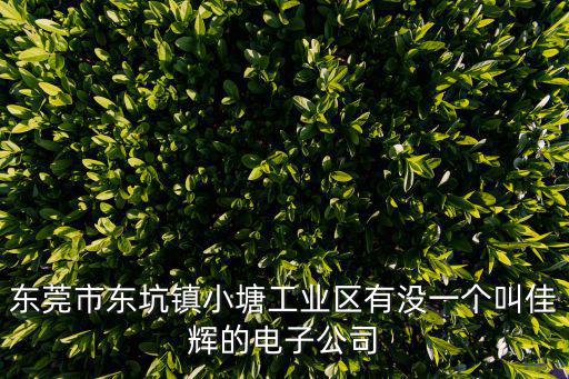 東莞市東坑鎮小塘工業區有沒一個叫佳輝的電子公司