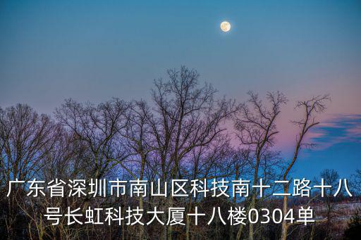 廣東省深圳市南山區科技南十二路十八號長虹科技大廈十八樓0304單