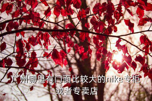 廣州哪里有門面比較大的nike專柜 或者專賣店