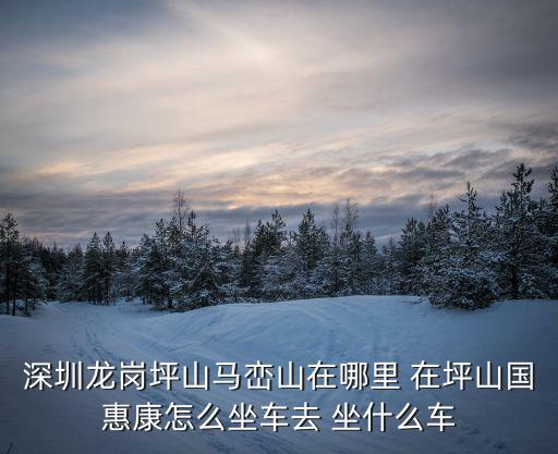 深圳龍崗坪山馬巒山在哪里 在坪山國惠康怎么坐車去 坐什么車