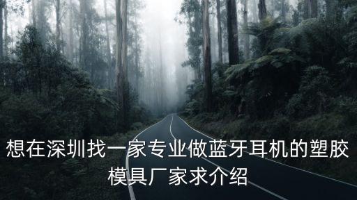 想在深圳找一家專業(yè)做藍(lán)牙耳機(jī)的塑膠模具廠家求介紹