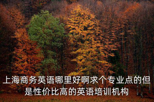 上海商務英語哪里好啊求個專業點的但是性價比高的英語培訓機構