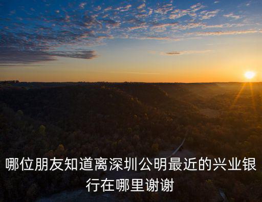 興業銀行深圳分行千程，興業銀行深圳布吉支行行號查詢