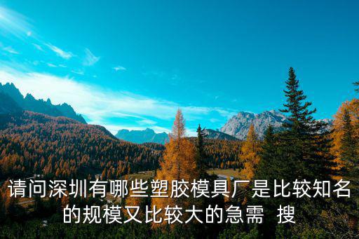 請(qǐng)問(wèn)深圳有哪些塑膠模具廠是比較知名的規(guī)模又比較大的急需  搜