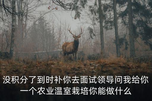 上海市農業科學院面試，沒積分了到時補你去面試領導問我給你一個農業溫室栽培你能做什么