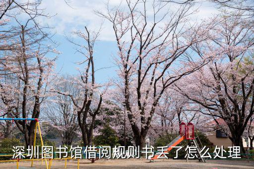 深圳圖書館借閱規(guī)則書丟了怎么處理