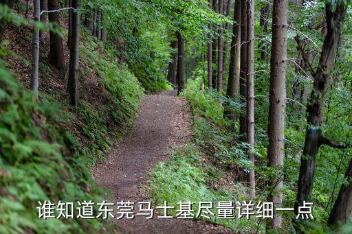 誰知道東莞馬士基盡量詳細一點