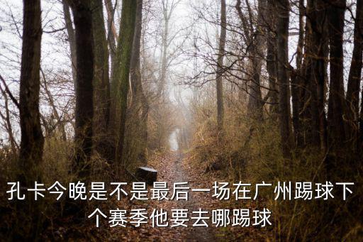孔卡今晚是不是最后一場在廣州踢球下個賽季他要去哪踢球