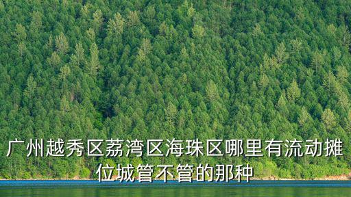 廣州流動攤販疏導點，廣州流動攤販疏導點分布在哪里