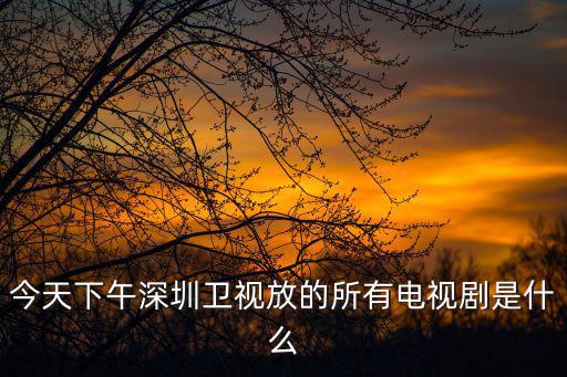 今天下午深圳衛(wèi)視放的所有電視劇是什么