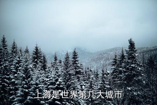 上海是世界第幾大城市