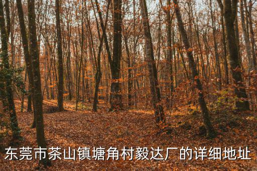 東莞市茶山鎮塘角村毅達廠的詳細地址