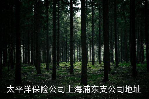 太平洋保險公司上海浦東支公司地址