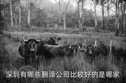 深圳翻譯公司，深圳有哪些翻譯公司比較好的是哪家