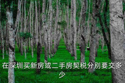 在深圳買新房或二手房契稅分別要交多少