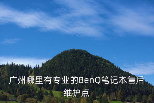 廣州哪里有專業的BenQ筆記本售后維護點