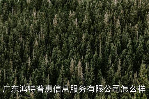 廣東鴻特普惠信息服務(wù)有限公司怎么樣