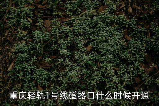 重慶輕軌1號(hào)線磁器口什么時(shí)候開通