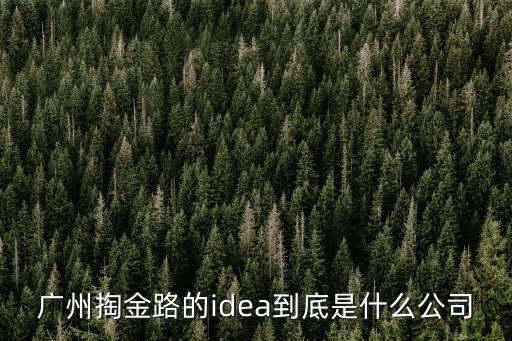 廣州掏金路的idea到底是什么公司