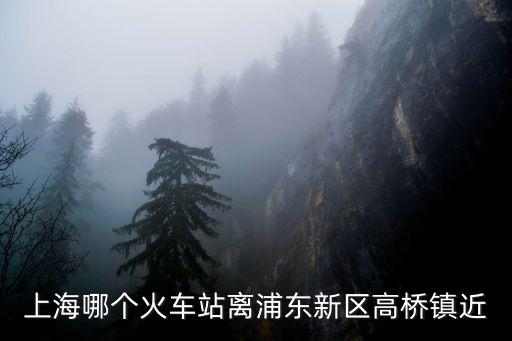 上海哪個火車站離浦東新區高橋鎮近