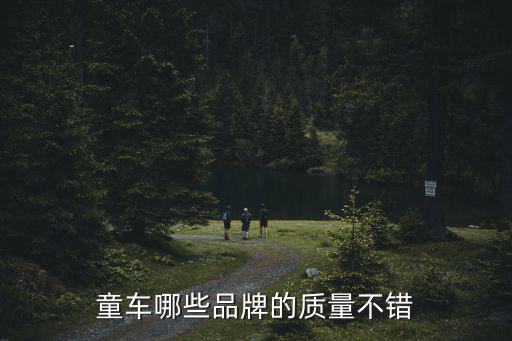 童車哪些品牌的質(zhì)量不錯(cuò)