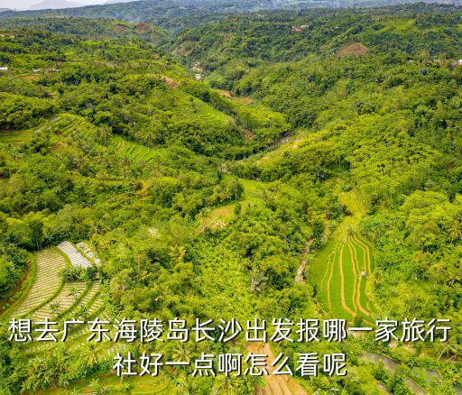 陽江海陵島 中旅 東莞出發 便宜，請問到陽江海陵島哪里吃海鮮最便宜