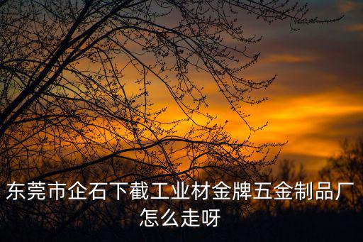 東莞市企石下截工業(yè)材金牌五金制品廠怎么走呀