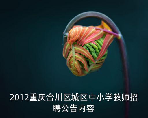 2012重慶合川區城區中小學教師招聘公告內容