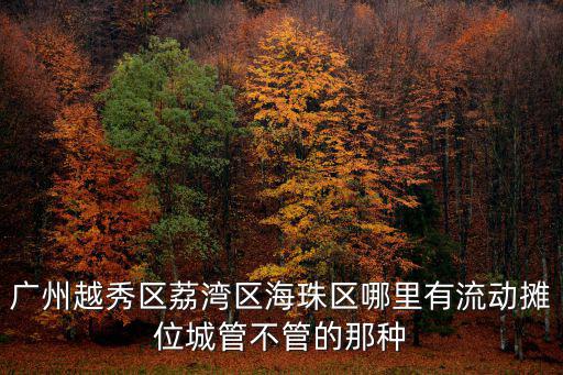 廣州越秀區荔灣區海珠區哪里有流動攤位城管不管的那種