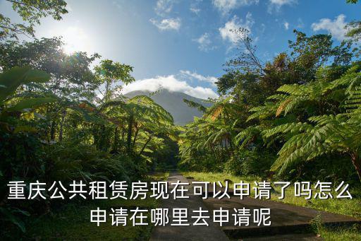 重慶公共租賃房現在可以申請了嗎怎么申請在哪里去申請呢