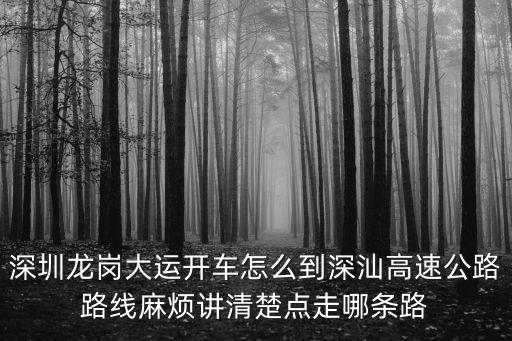 深圳龍崗大運(yùn)開(kāi)車(chē)怎么到深汕高速公路路線(xiàn)麻煩講清楚點(diǎn)走哪條路