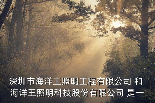 深圳市海洋王照明工程有限公司 和 海洋王照明科技股份有限公司 是一