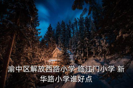 渝中區(qū)解放西路小學(xué) 臨江門小學(xué) 新華路小學(xué)誰好點(diǎn)