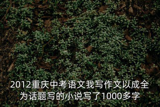 2012重慶中考語文我寫作文以成全為話題寫的小說寫了1000多字