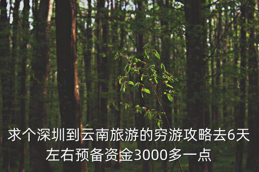 深圳 味道云南，宋代書法忽略法度的法度怎么理解