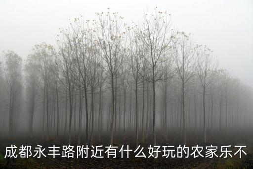 成都永豐路附近有什么好玩的農家樂不