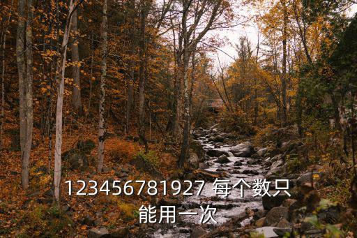 123456781927 每個數(shù)只能用一次