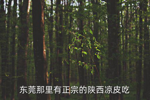 東莞那里有正宗的陜西涼皮吃
