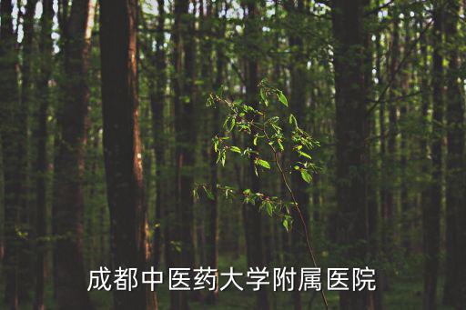 成都中醫藥大學附屬醫院