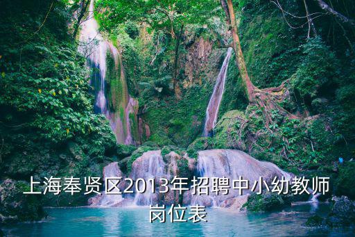 上海奉賢區(qū)2013年招聘中小幼教師崗位表