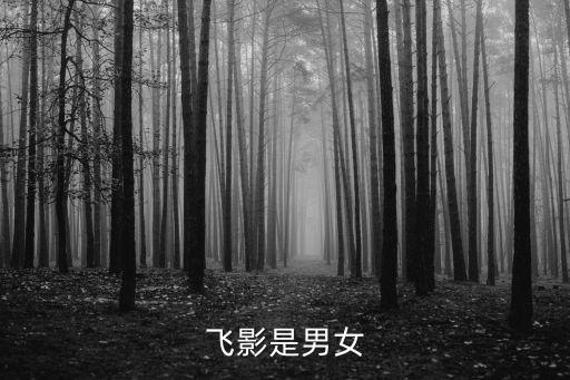 飛影是男女