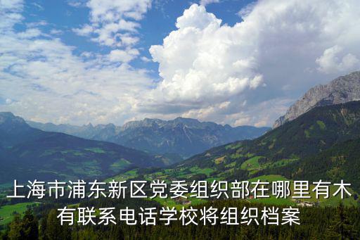 上海市浦東新區黨委組織部在哪里有木有聯系電話學校將組織檔案