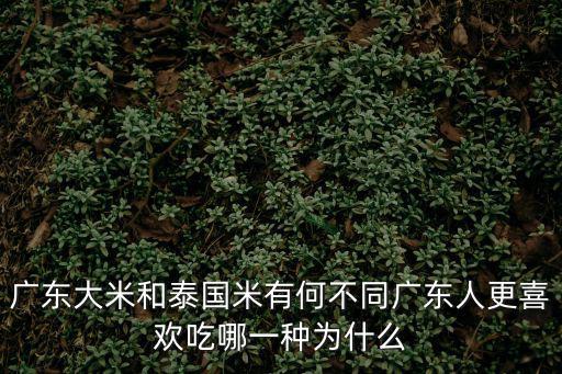廣東大米和泰國米有何不同廣東人更喜歡吃哪一種為什么